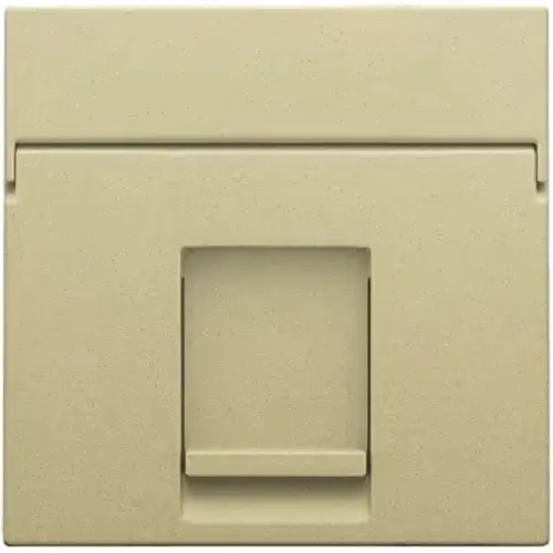 Enjoliveur pour prise informatique RJ45 - Simple - Gold coated - Niko