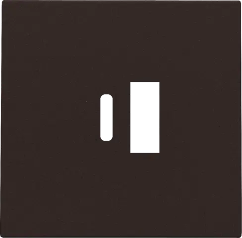 [NIK124-68002] Enjoliveur pour chargeur USB A + USB C - Brown coated - Niko