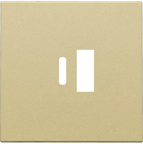 [NIK221-68002] Enjoliveur pour chargeur USB A + USB C - Gold coated - Niko